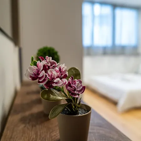 Feel Greek Hospitality #θ010 Apartment *